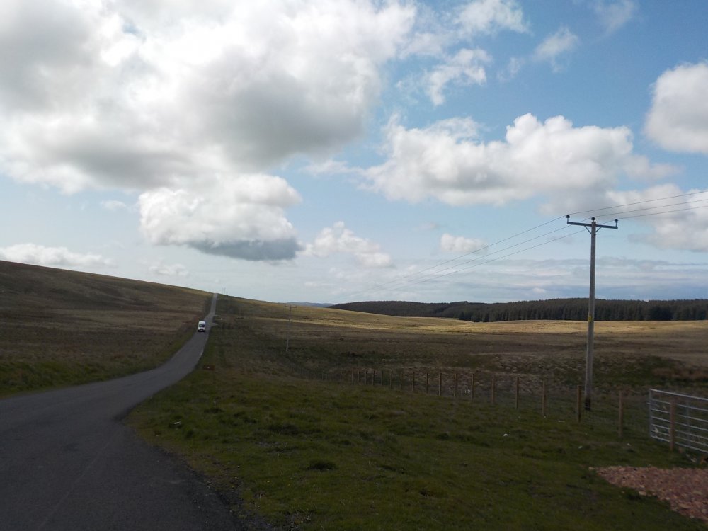 DSCN0707.JPG