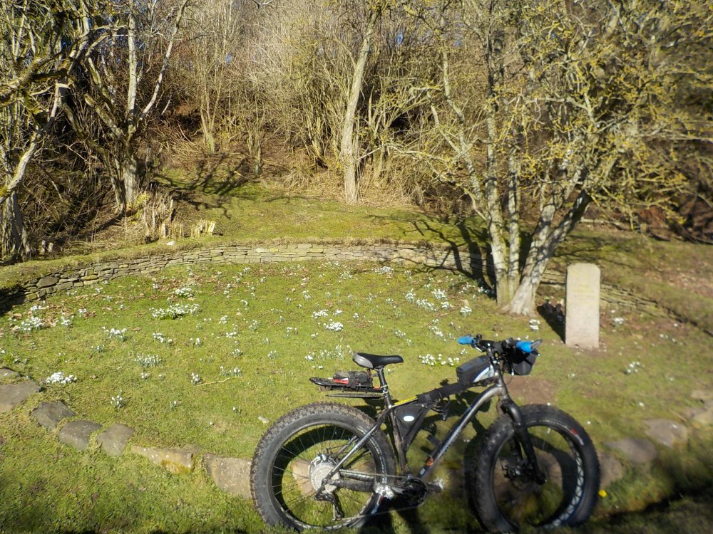 DSCN1743.JPG