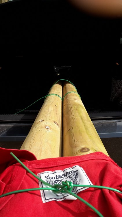 20170324_104926.jpg