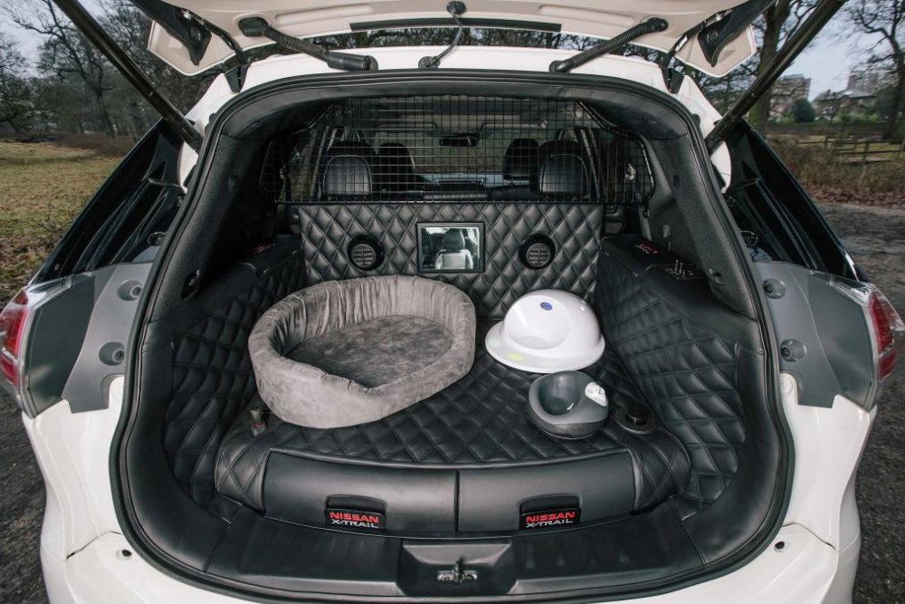 2nissanxtrail4dogsfeb17.jpg