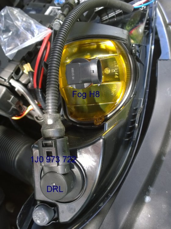 DRL CONNECTOR.jpg
