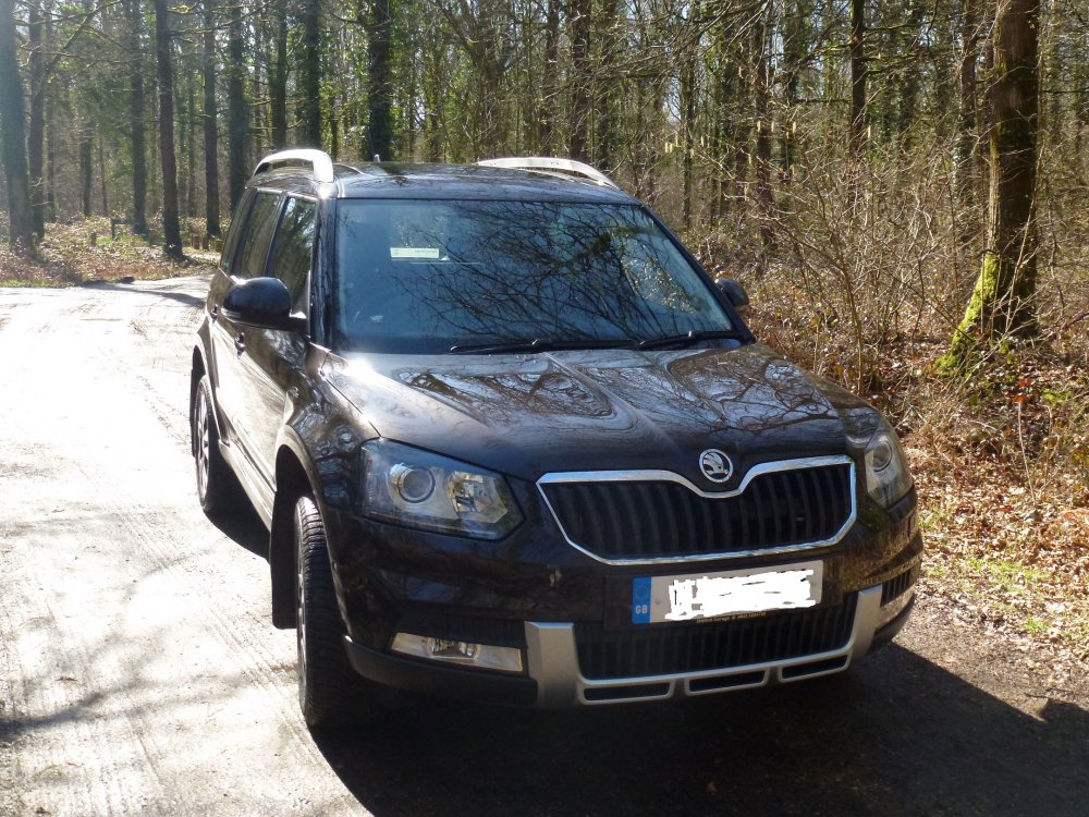 yeti in the woods - Copy.JPG