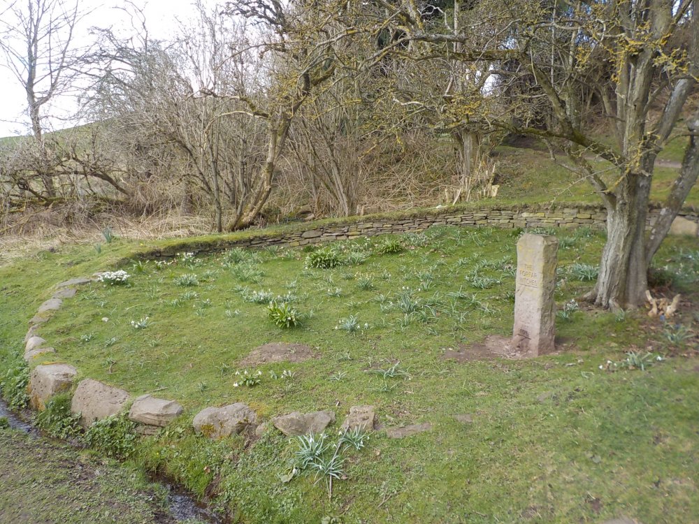 DSCN1853.JPG
