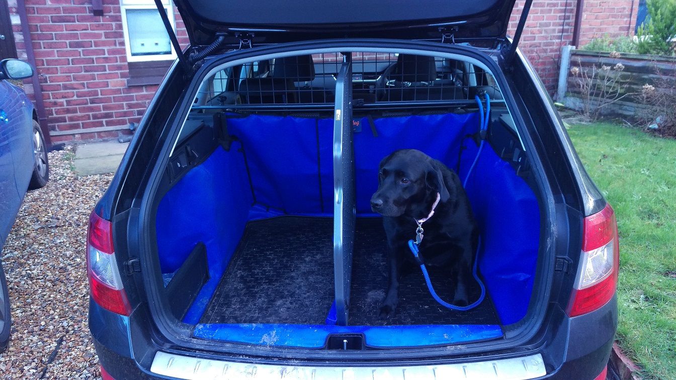 Saloon v Estate Dog in boot Skoda Octavia Mk III 2013 2020 BRISKODA