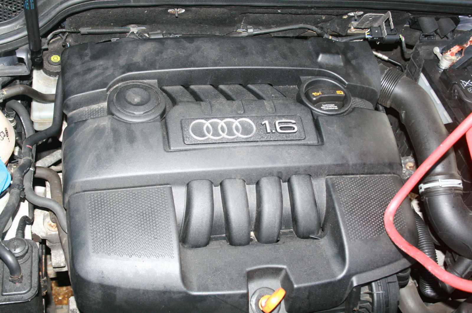 Breaking 2006 Audi A3 1 6 Bse Blue Ly7h 5 Speed Gearbox Fvh