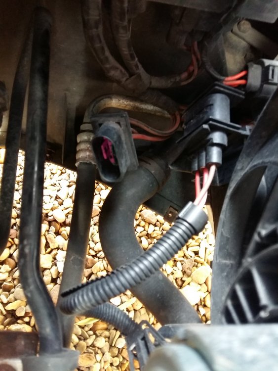 TDI glow plug timer relay issues.... Skoda Octavia Mk I BRISKODA