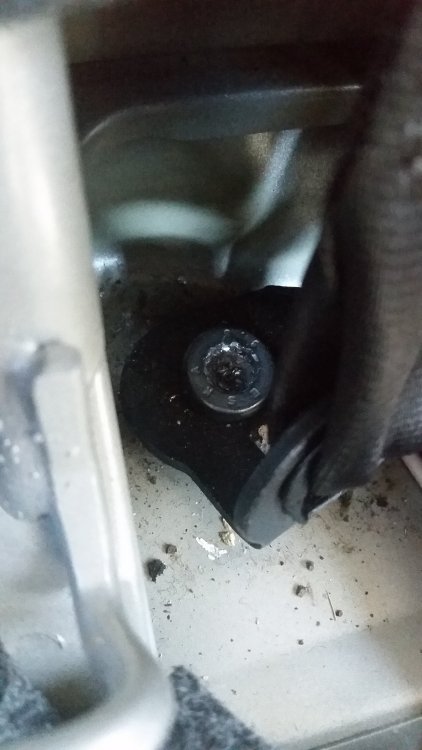 20170424_141003.jpg