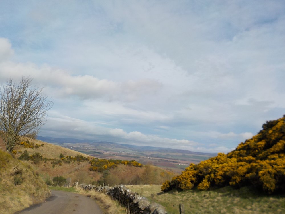 DSCN1949.JPG