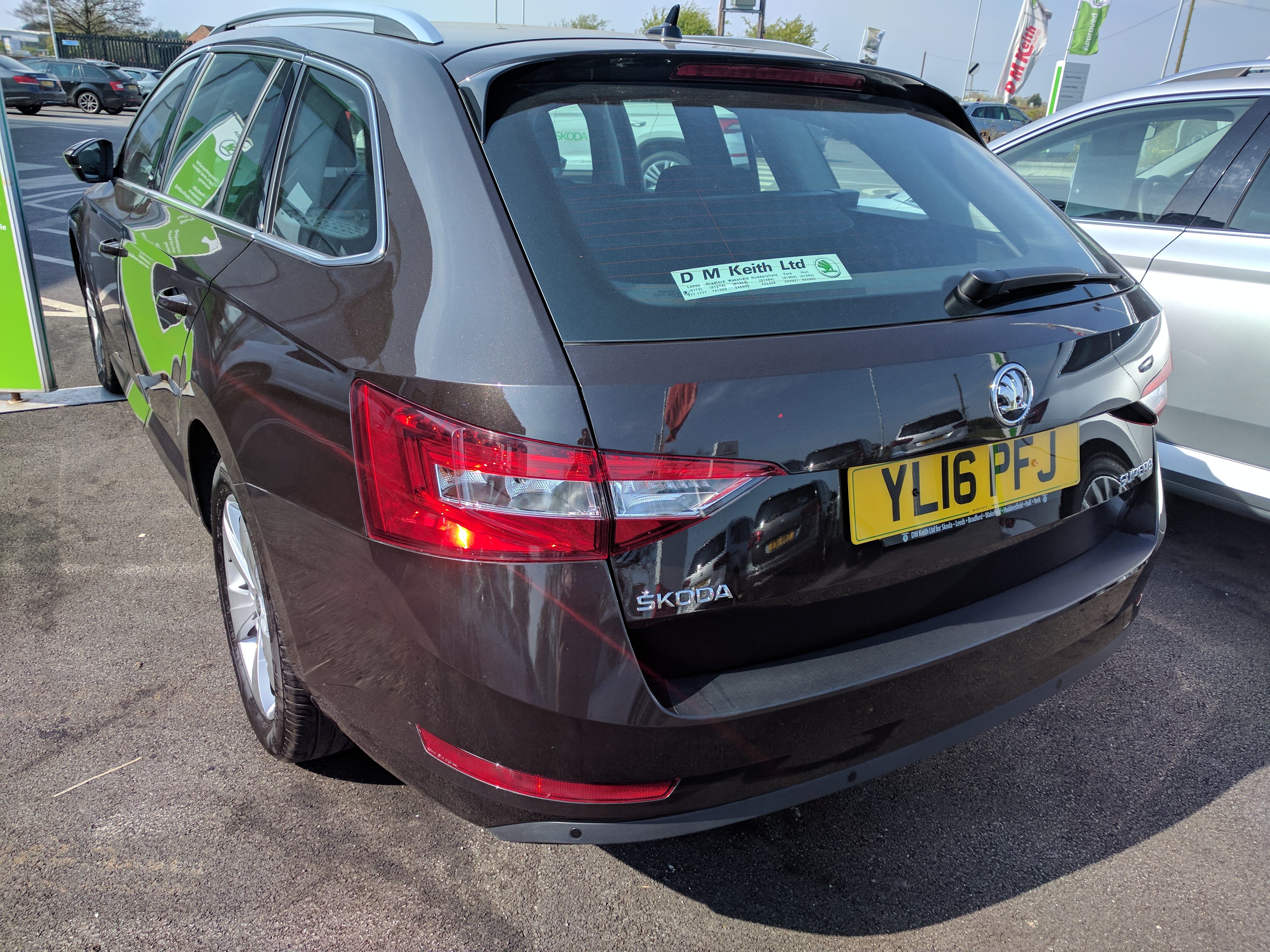 Magnetic brown skoda