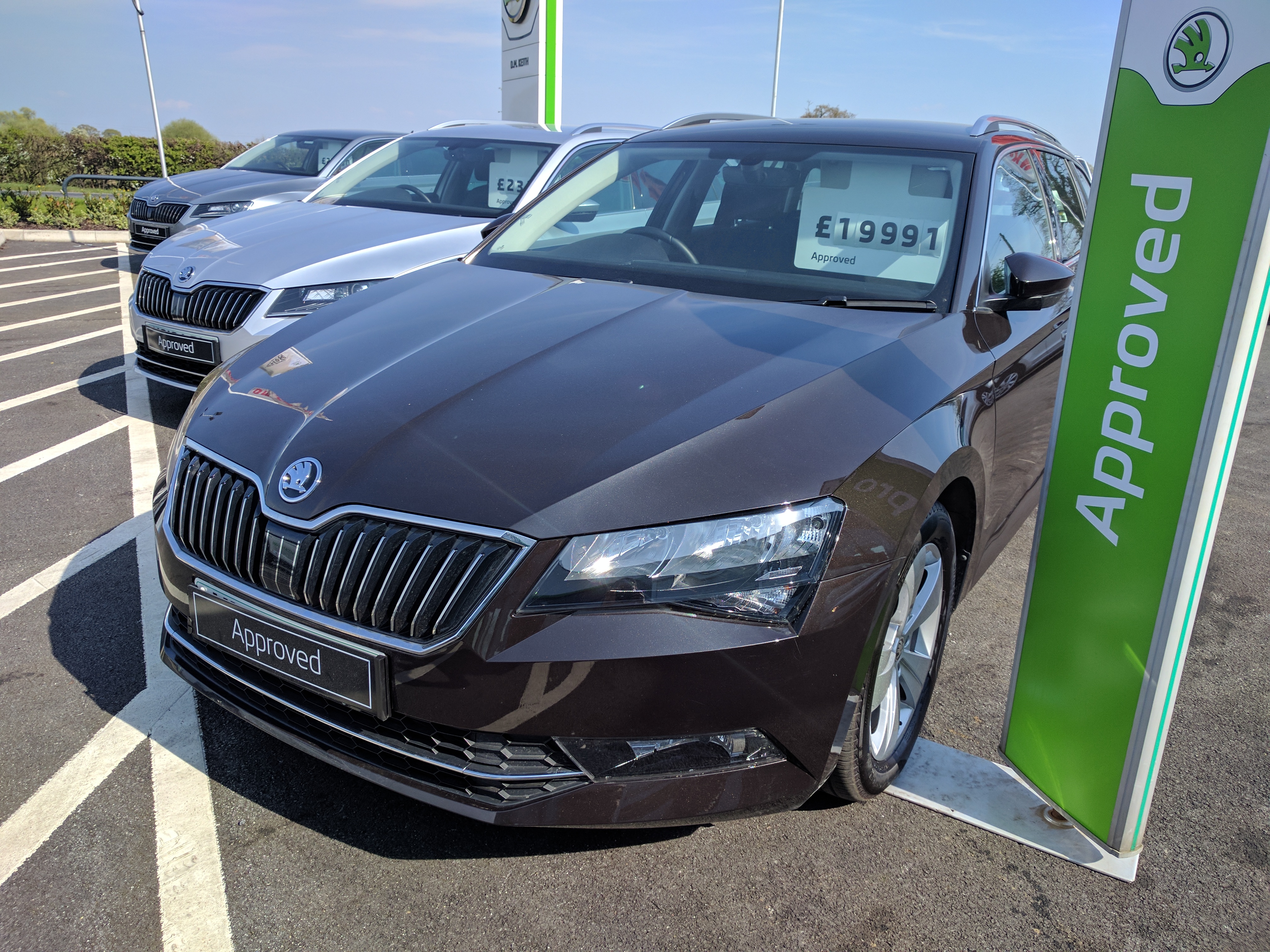 Magnetic brown skoda