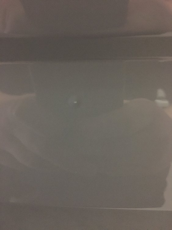 IMG_8735.jpeg