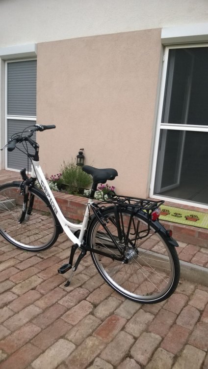 WP_20150519_008.jpg