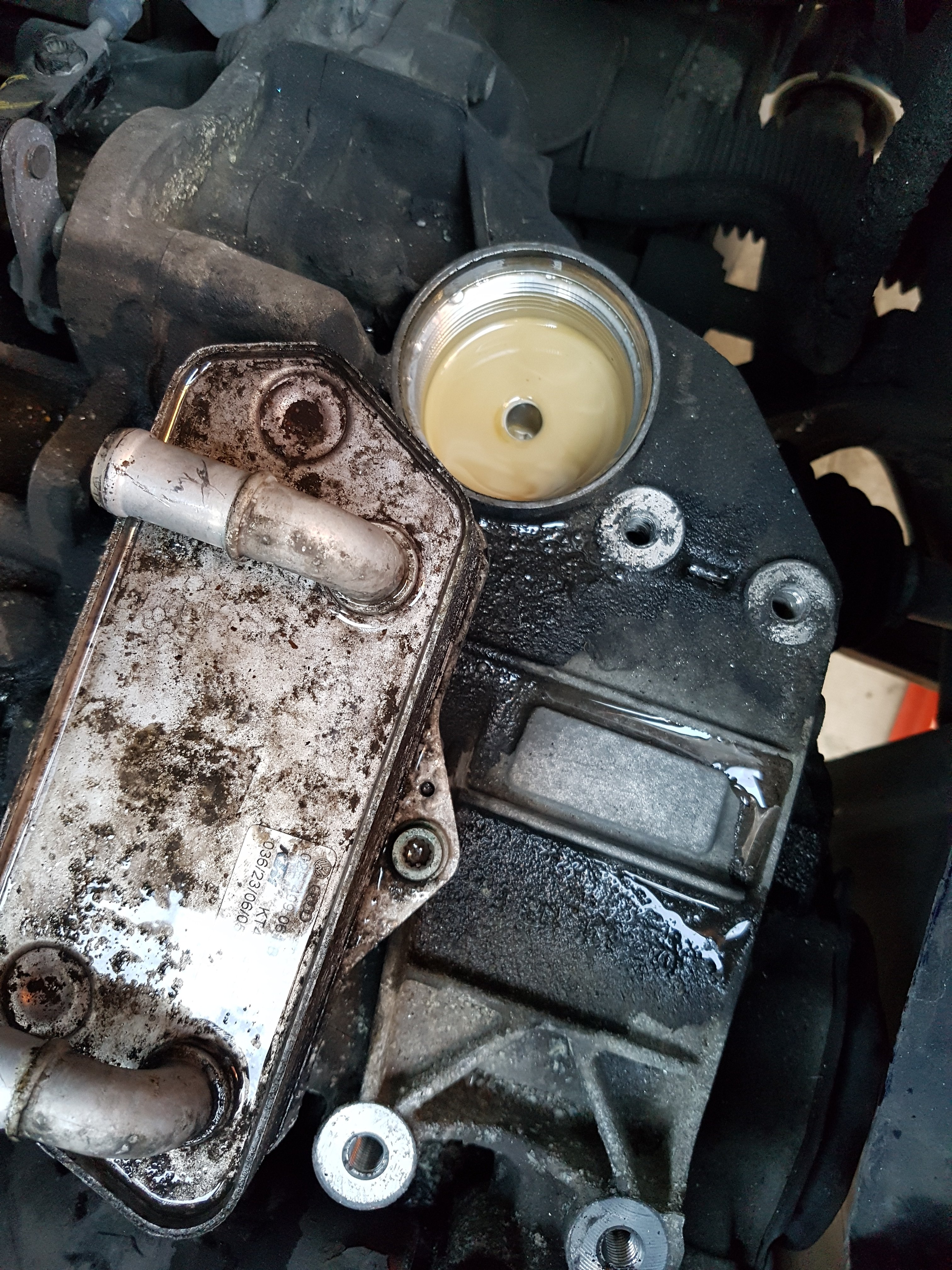 Think my DSG problems just got worse Skoda Octavia Mk II (2004 2013