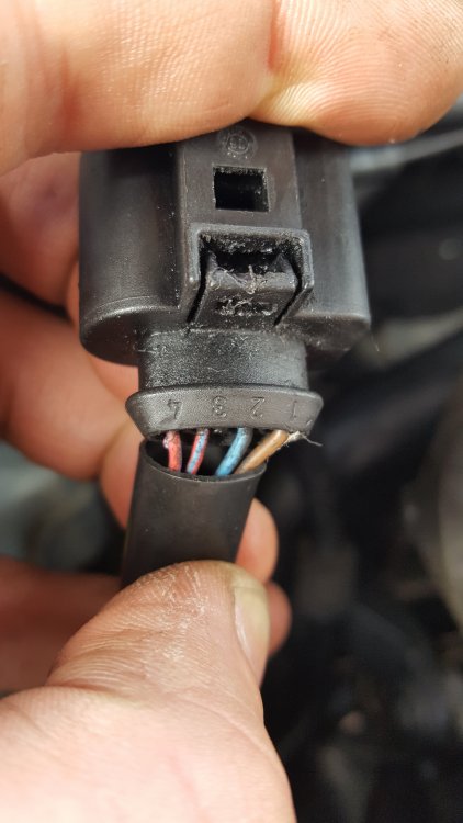 Throttle Body Actuator Motor wiring - 2007 Fabia 1.9 TDi (AXR) - Skoda