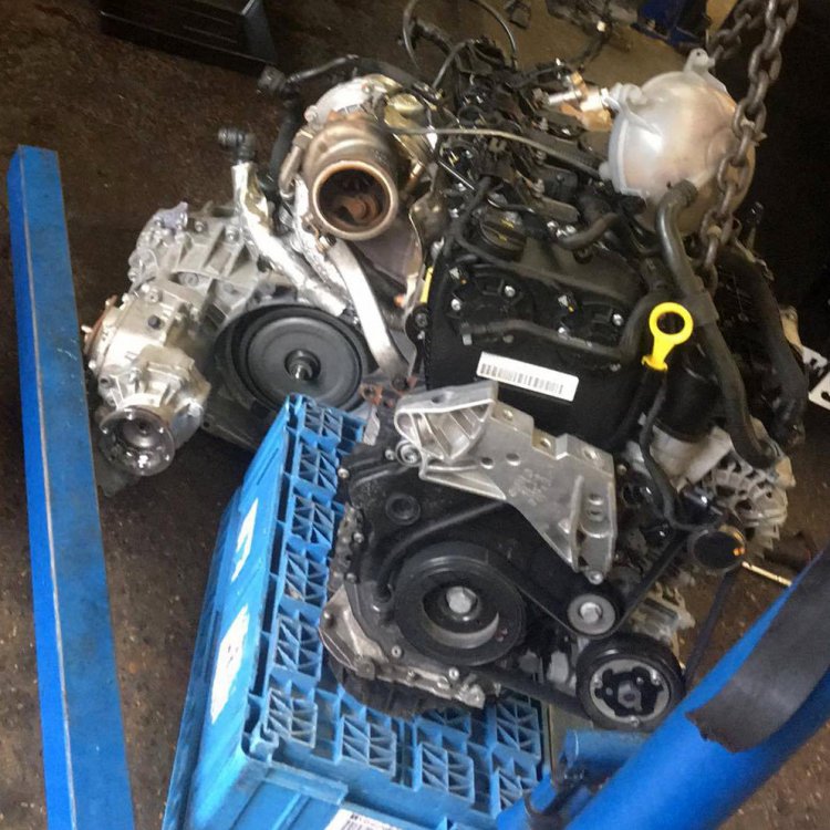 oem engine.jpg