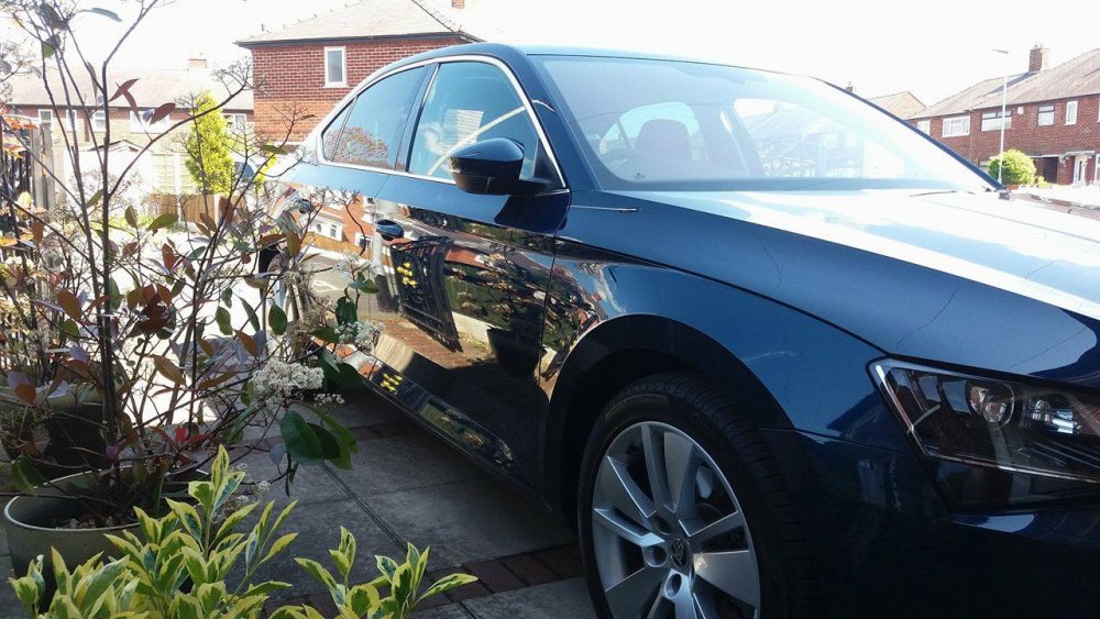 Clean_Superb.jpg