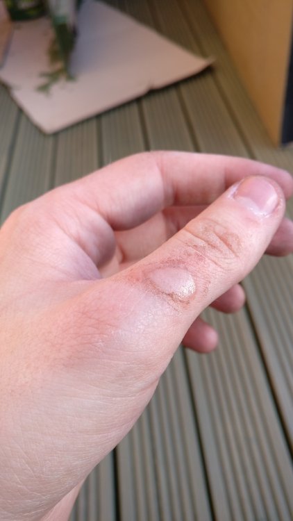IMG_20170510_193405.thumb.jpg.4bd4a1df5e6dd0b4afb0d1db28d64f50.jpg