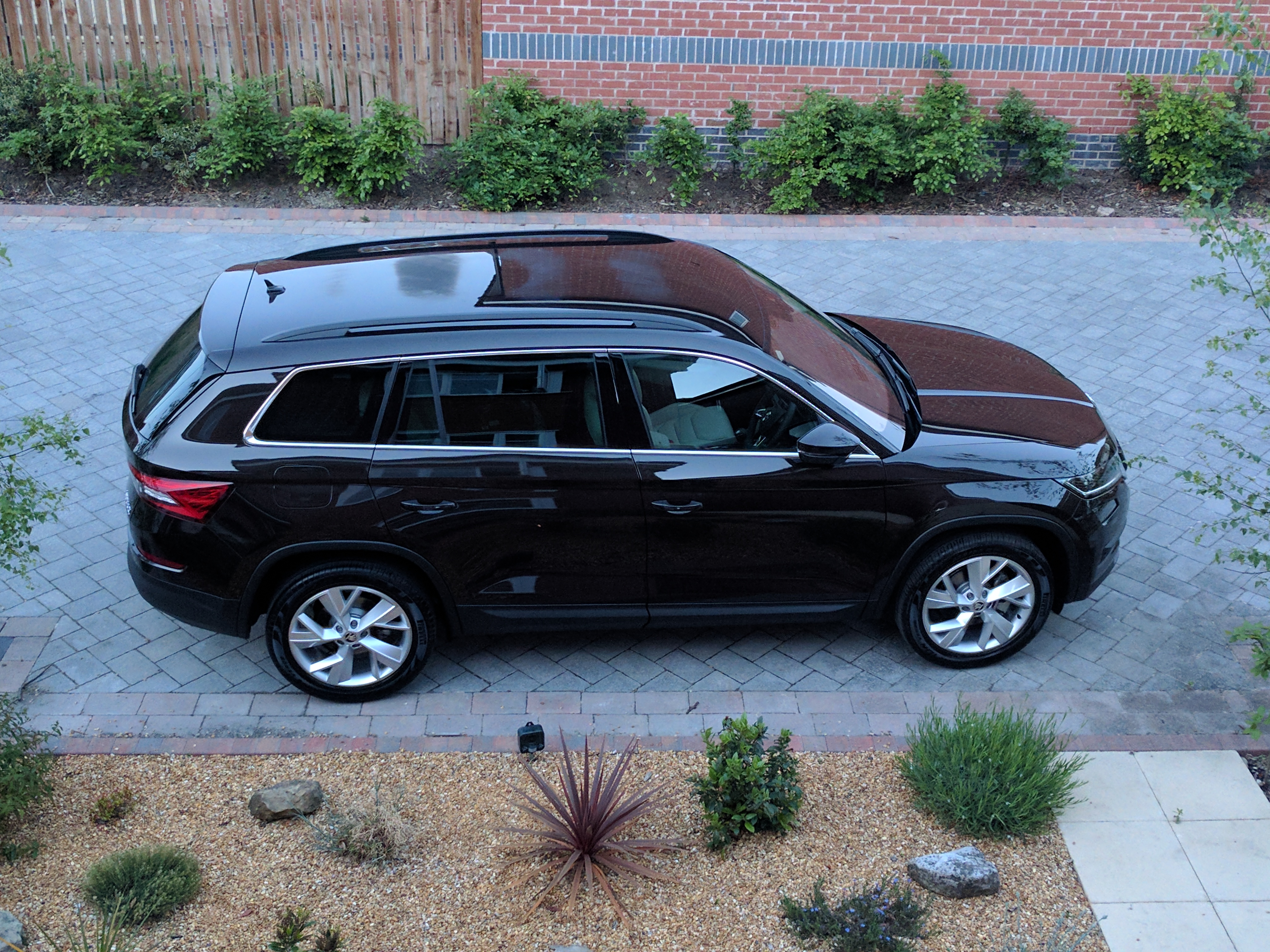 Magnetic brown skoda