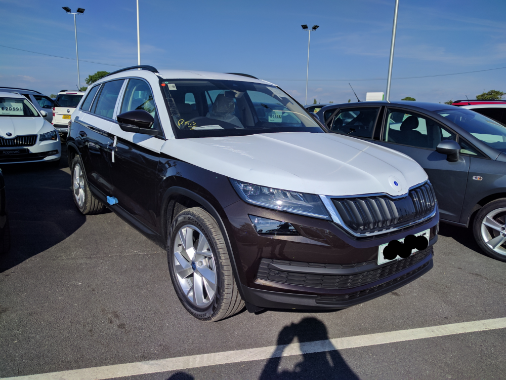 Magnetic brown skoda