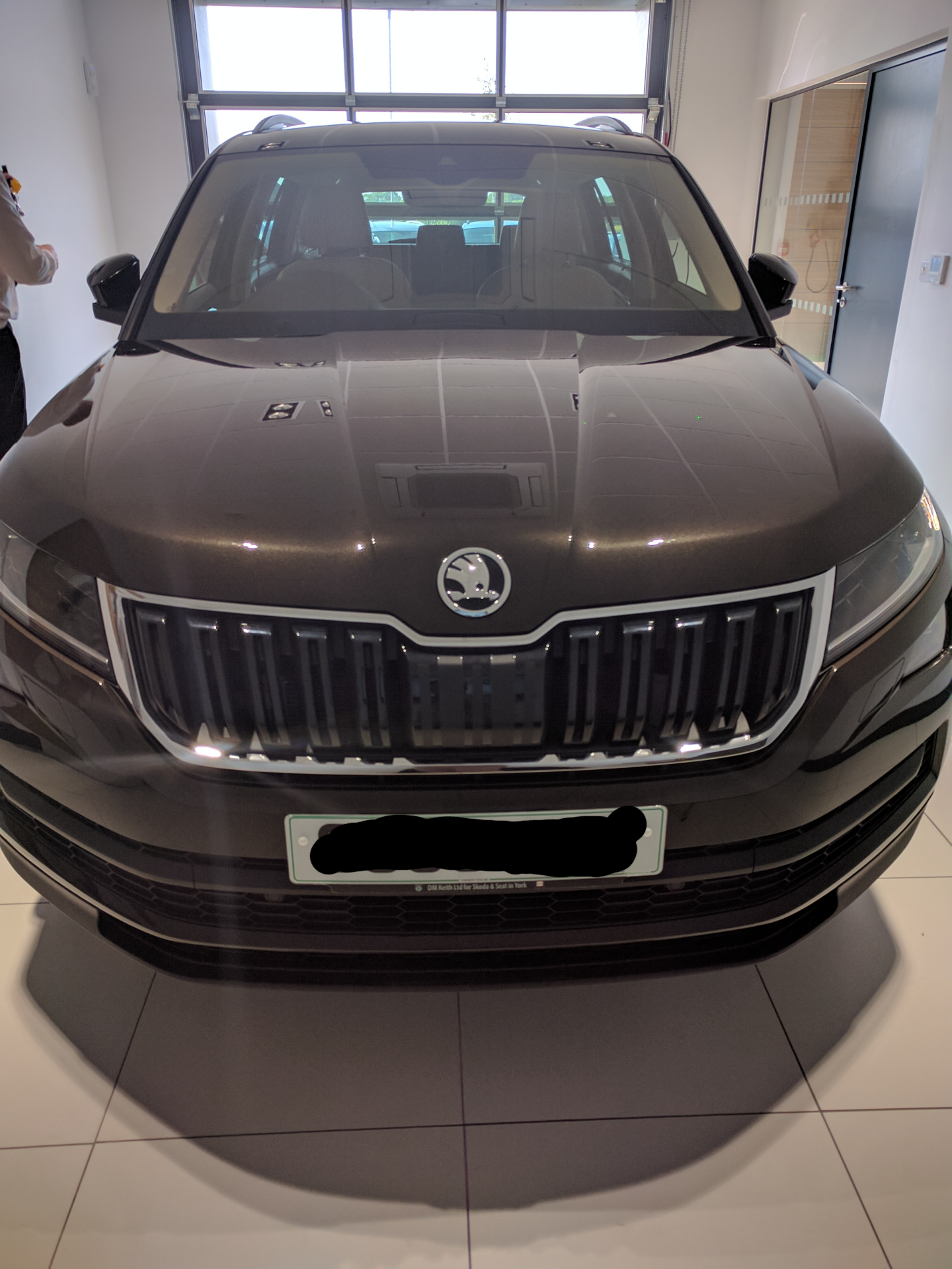 Magnetic brown skoda