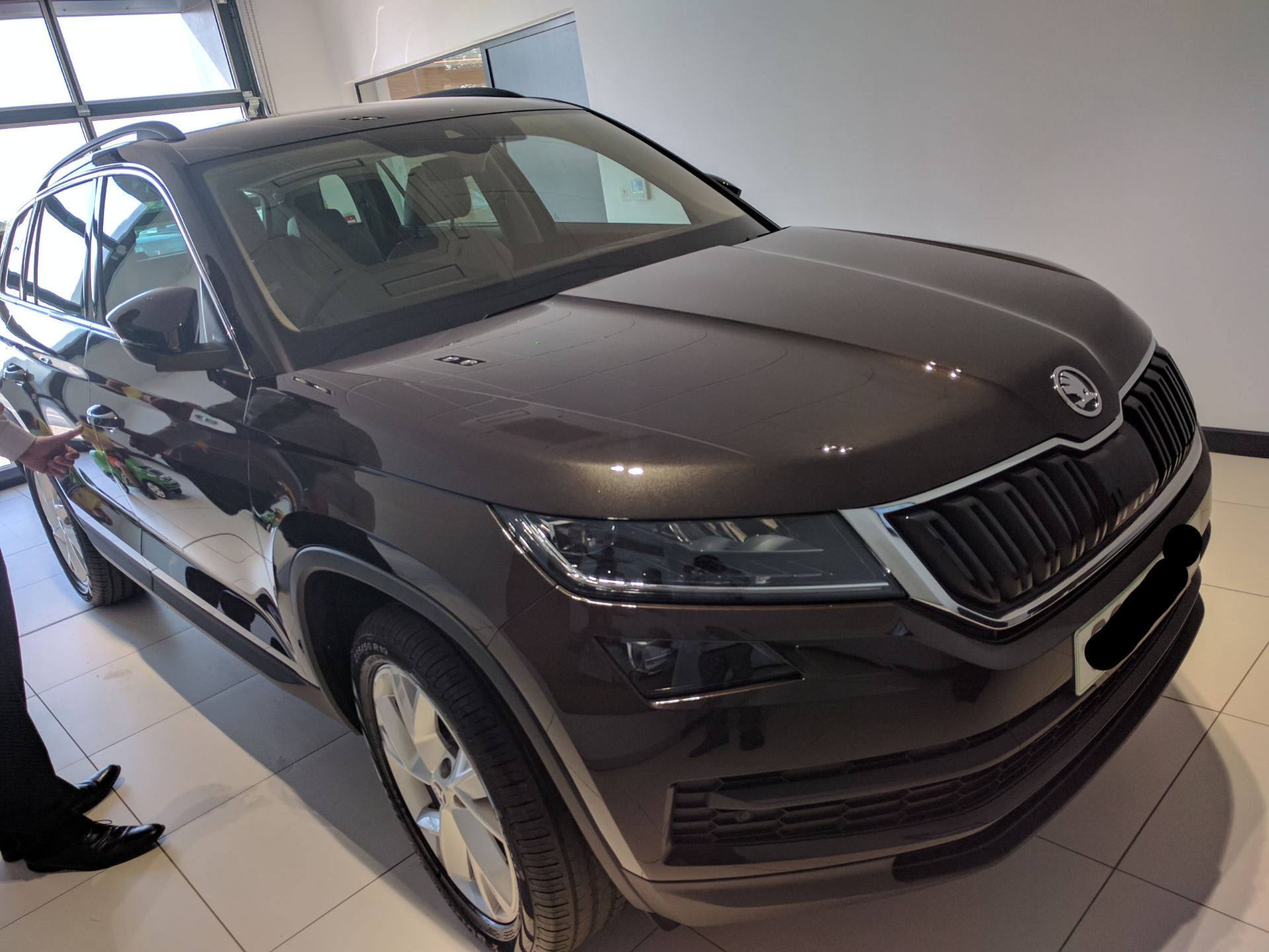 Magnetic brown skoda
