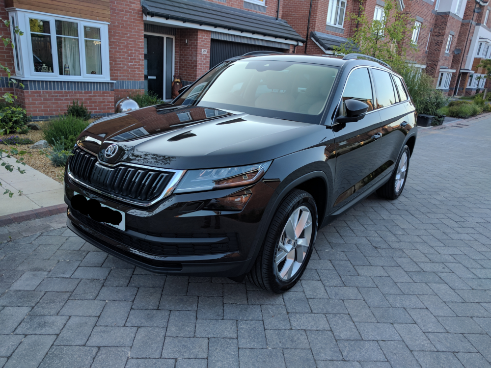 Magnetic brown skoda