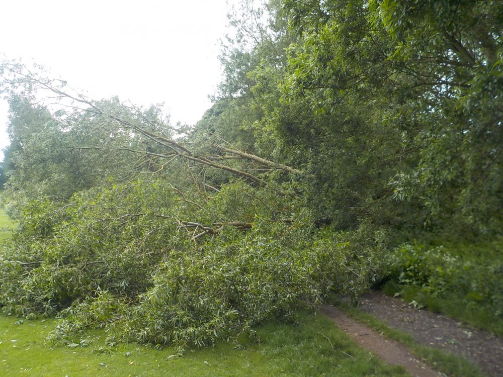 DSCN2616.JPG