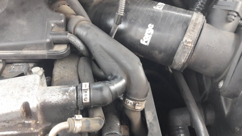 20170710_200702.jpg