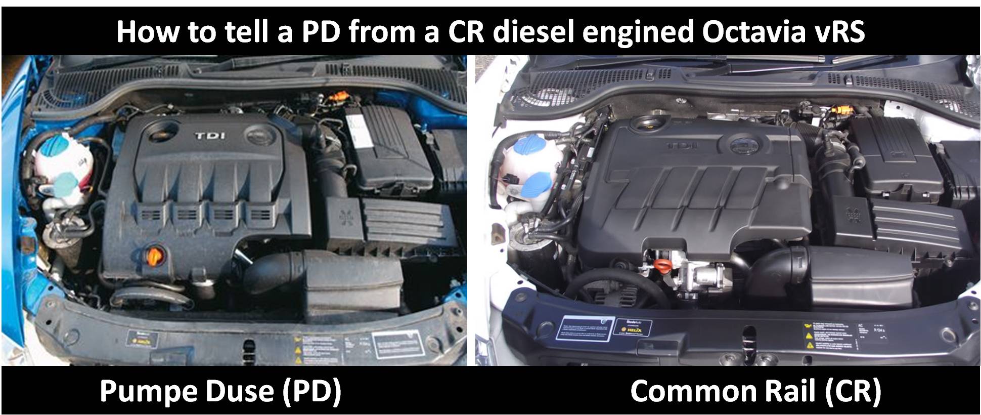 Image result for octavia vrs pd vs cr