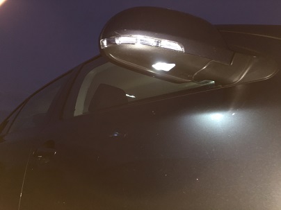 Does my Octavia have Canbus?