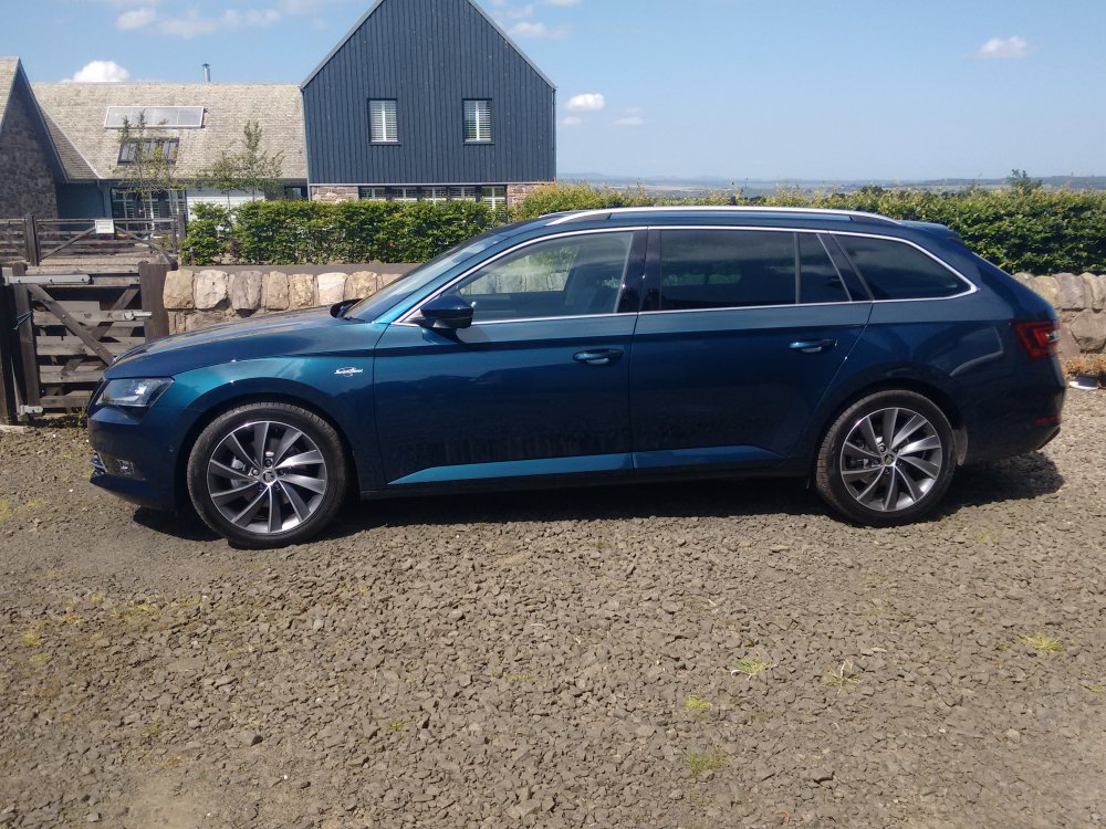 59706cf5ac339_Superb3.thumb.jpg.30f76bad7c77e8b6219931f2d662d542.jpg