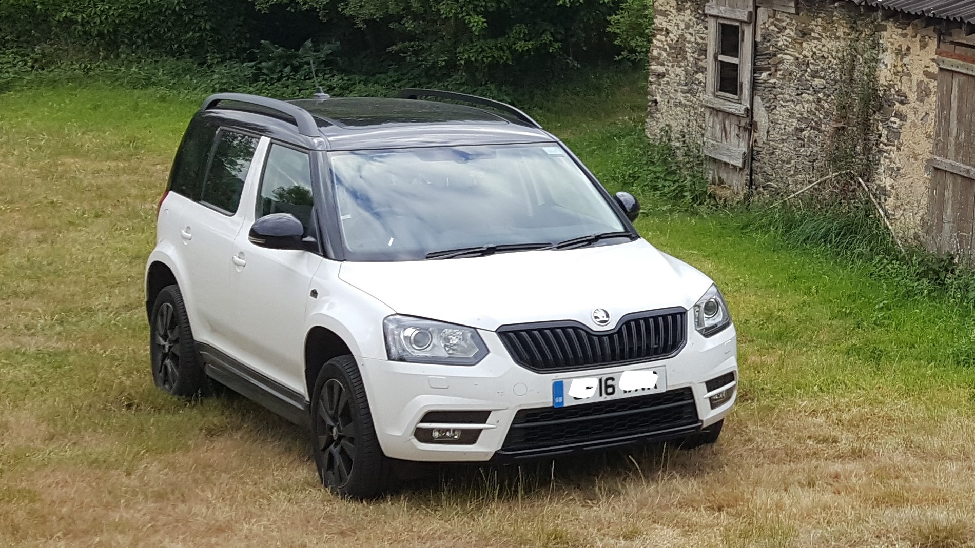 Why Did You Buy A Yeti Skoda Yeti Briskoda