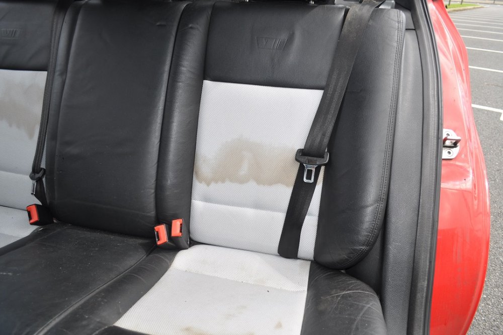 Rear Seats.jpg