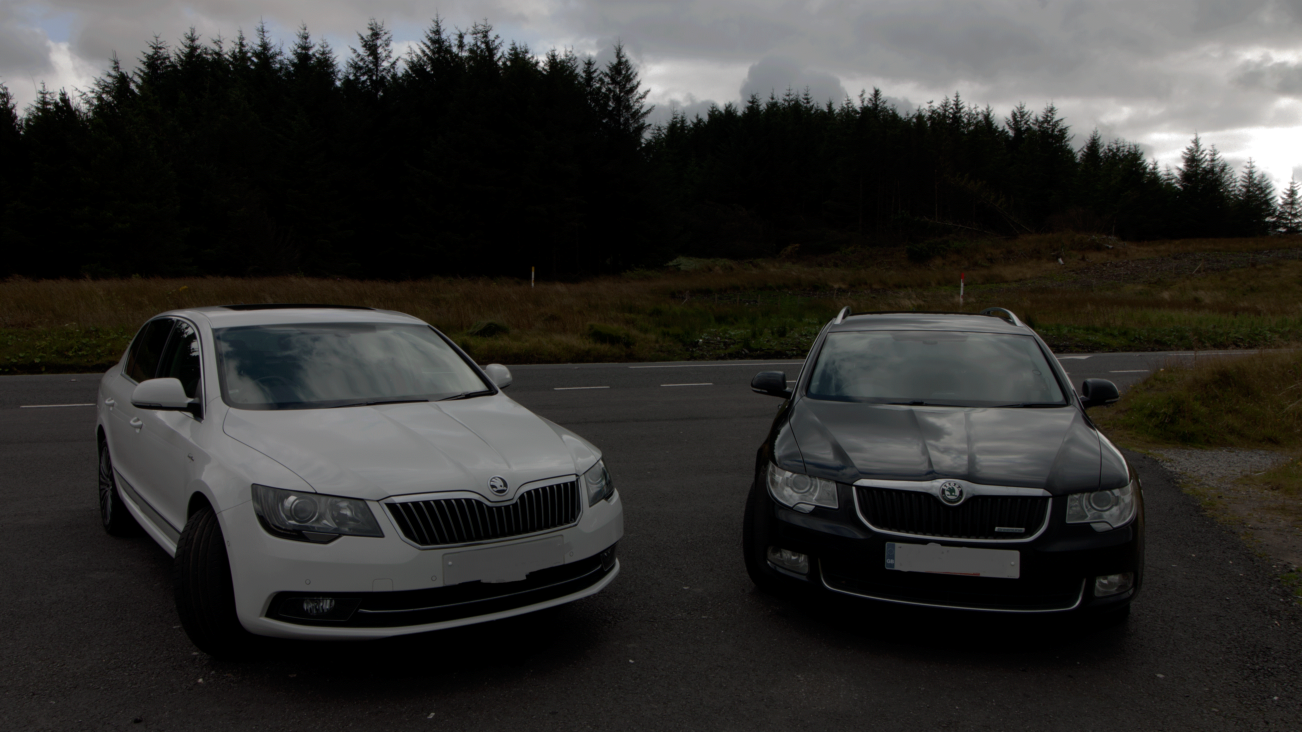 Skoda octavia gif