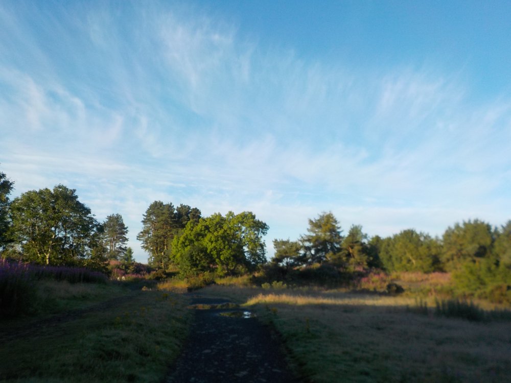 DSCN2858.JPG