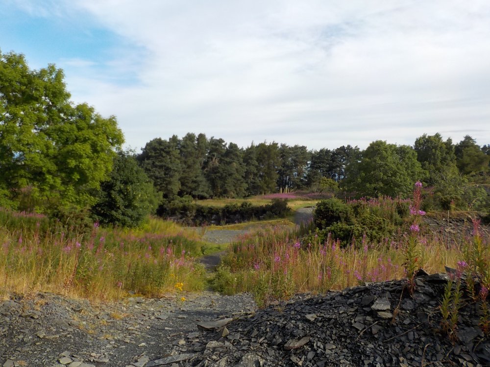DSCN2907.JPG