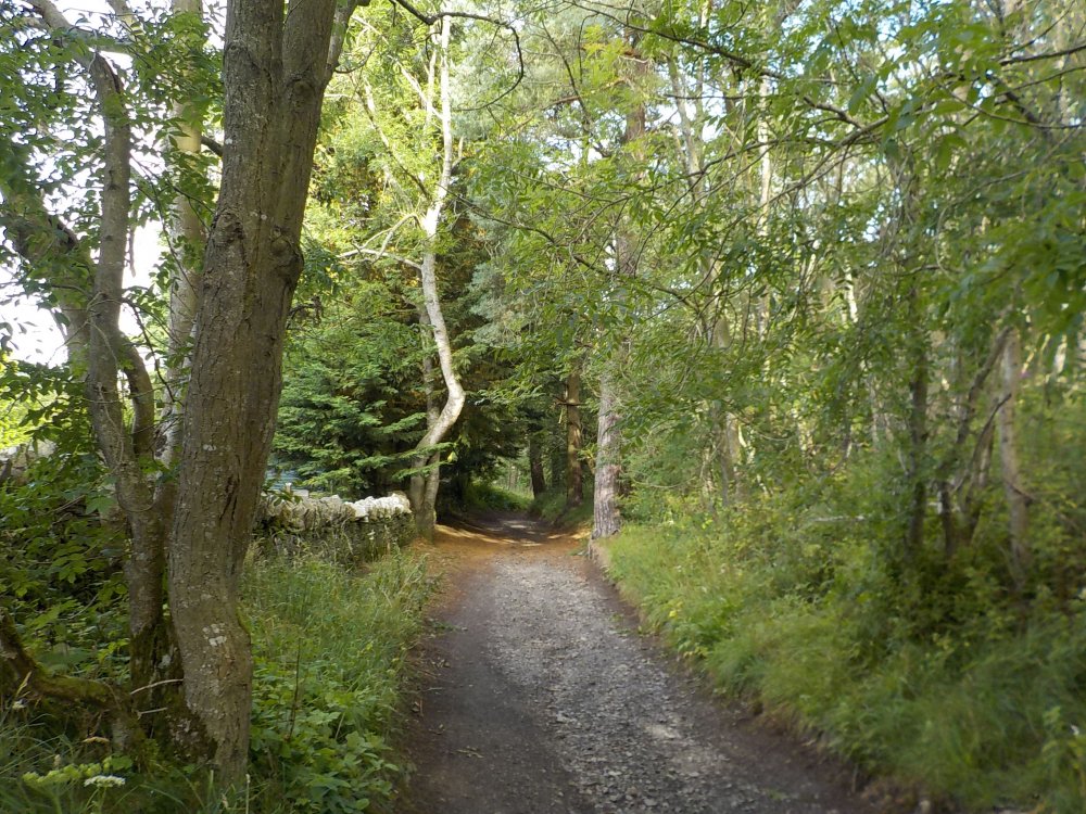 DSCN2921.JPG
