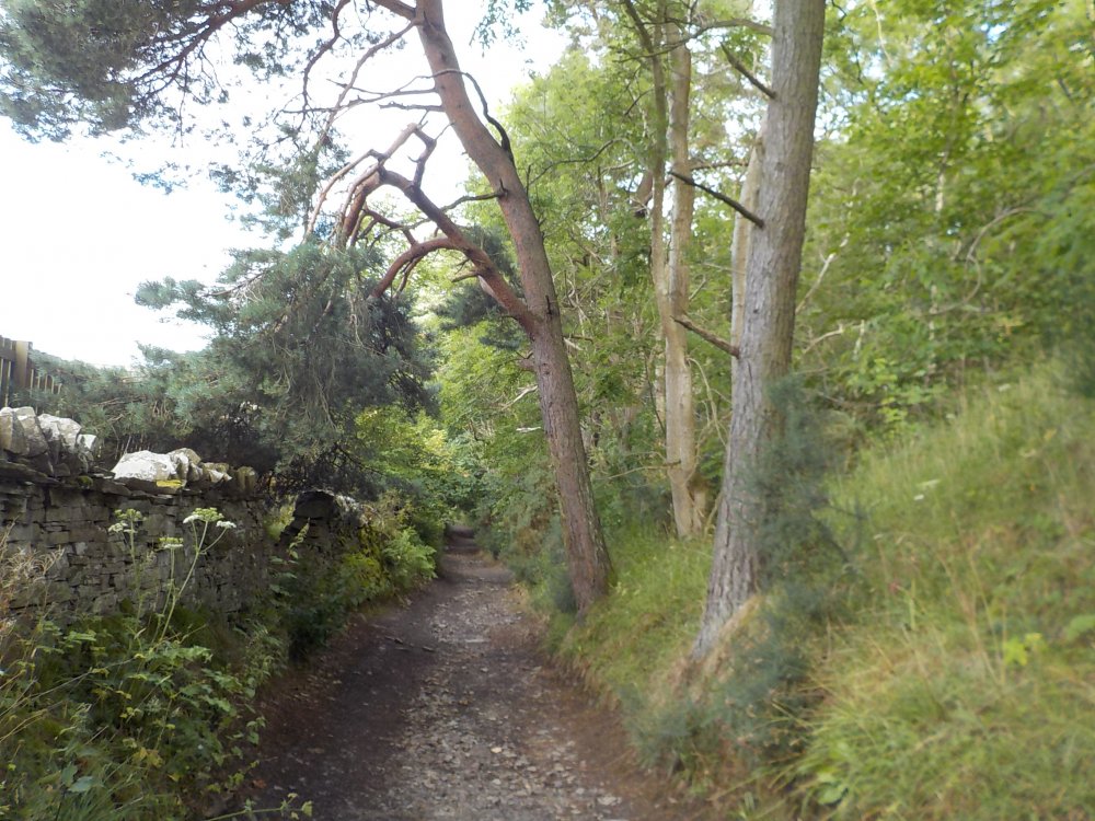 DSCN2922.JPG