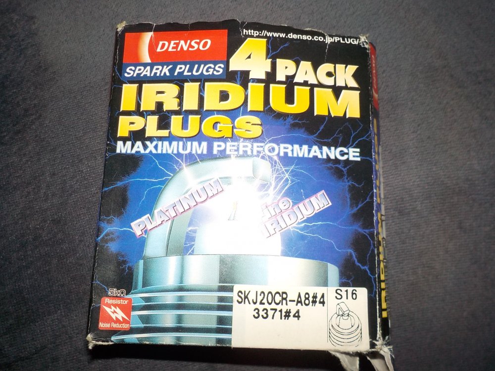 DSCN3038.JPG
