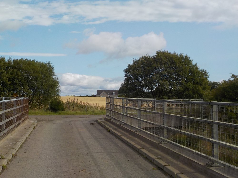 DSCN3100.JPG
