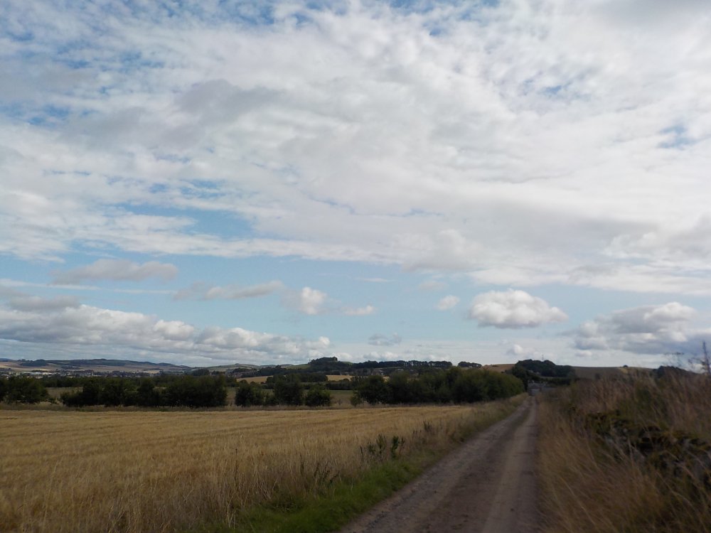 DSCN3107.JPG
