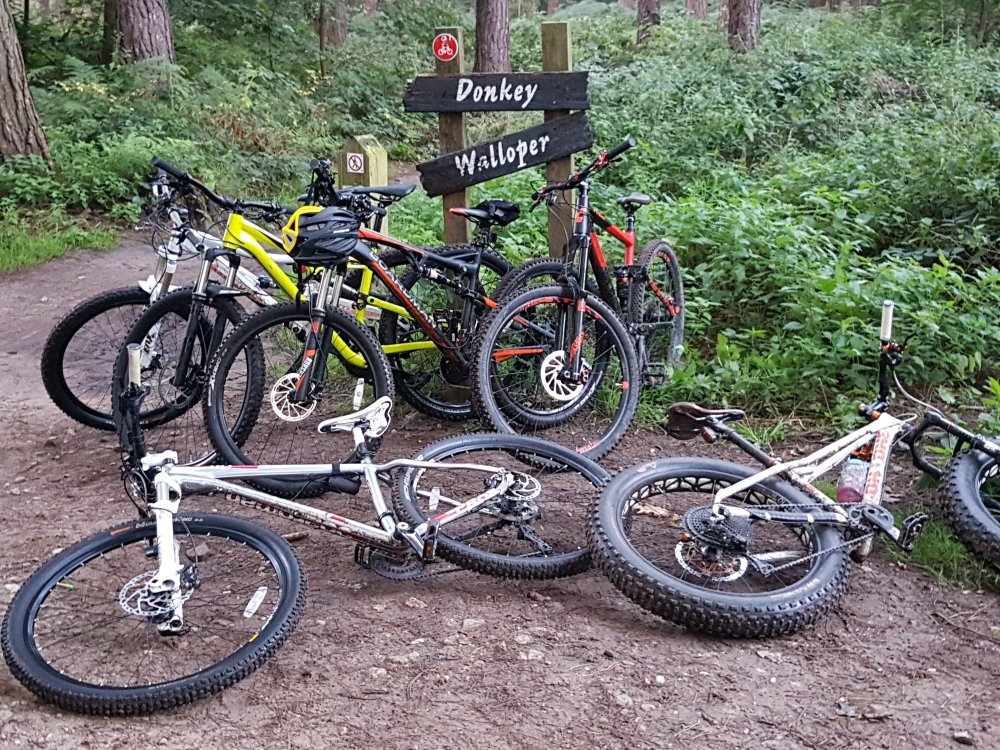 20170910_064247_001.jpg