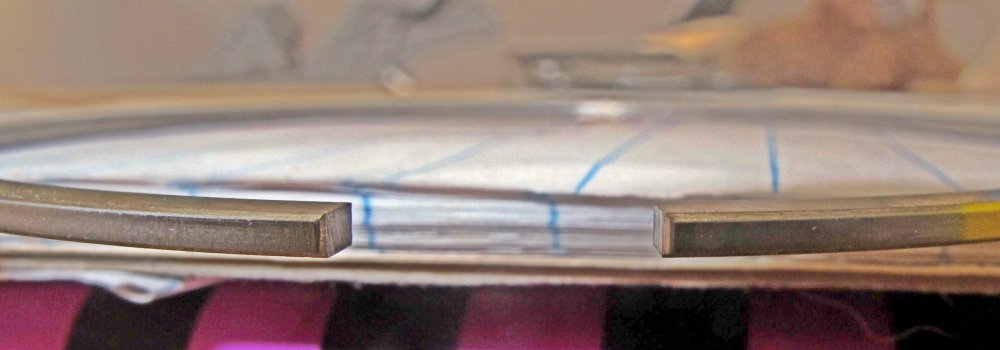 blank stempelring IMG_7372  crop.jpg