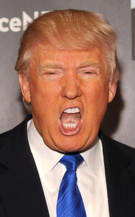 trump_3091857a.gif