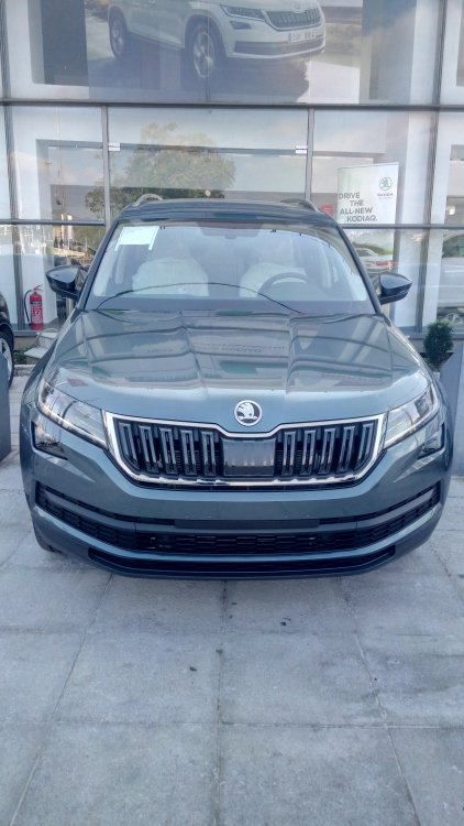 Amundsen skoda kodiaq