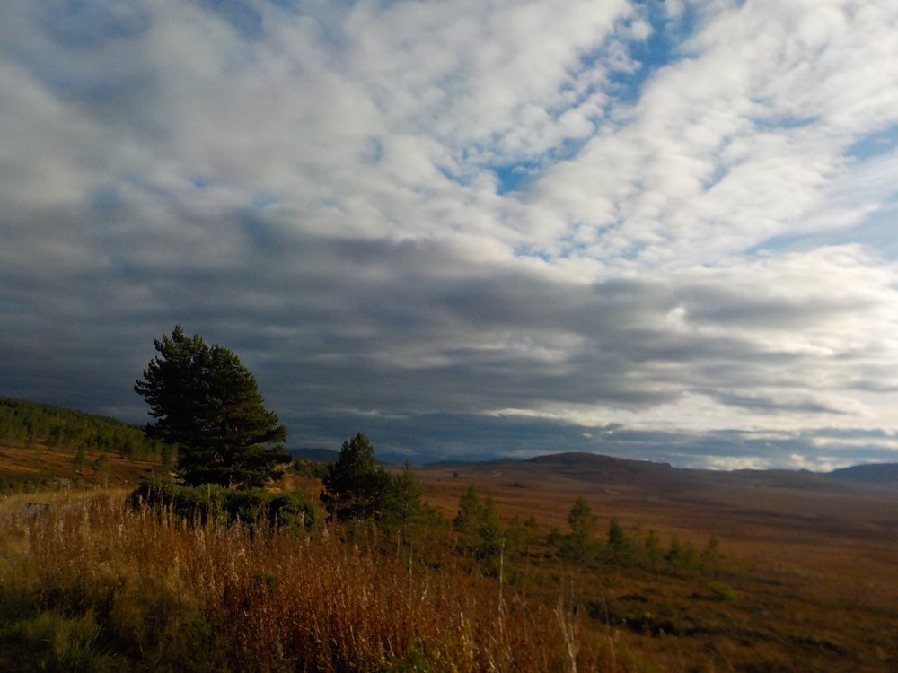 DSCN3274.JPG