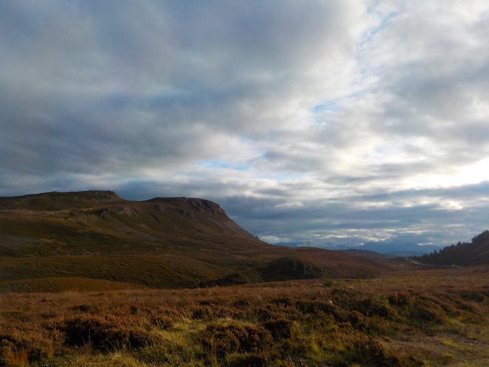 DSCN3283.JPG