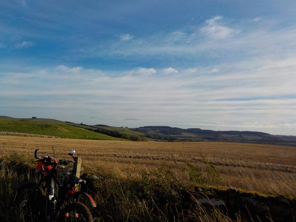 DSCN3350.JPG