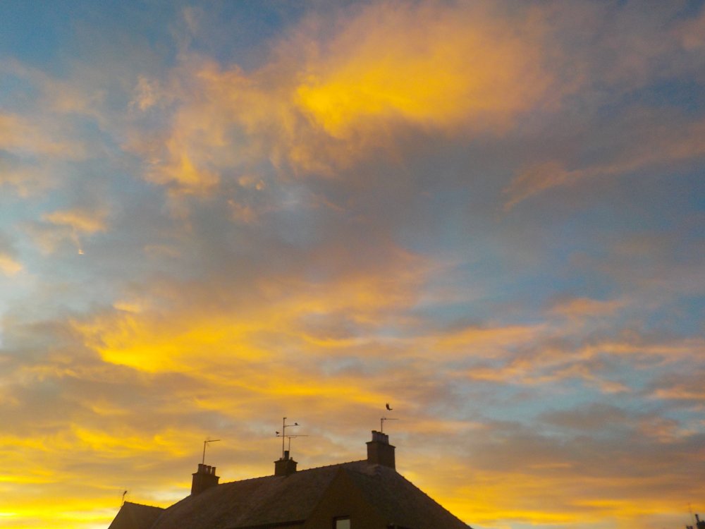 DSCN3361.JPG