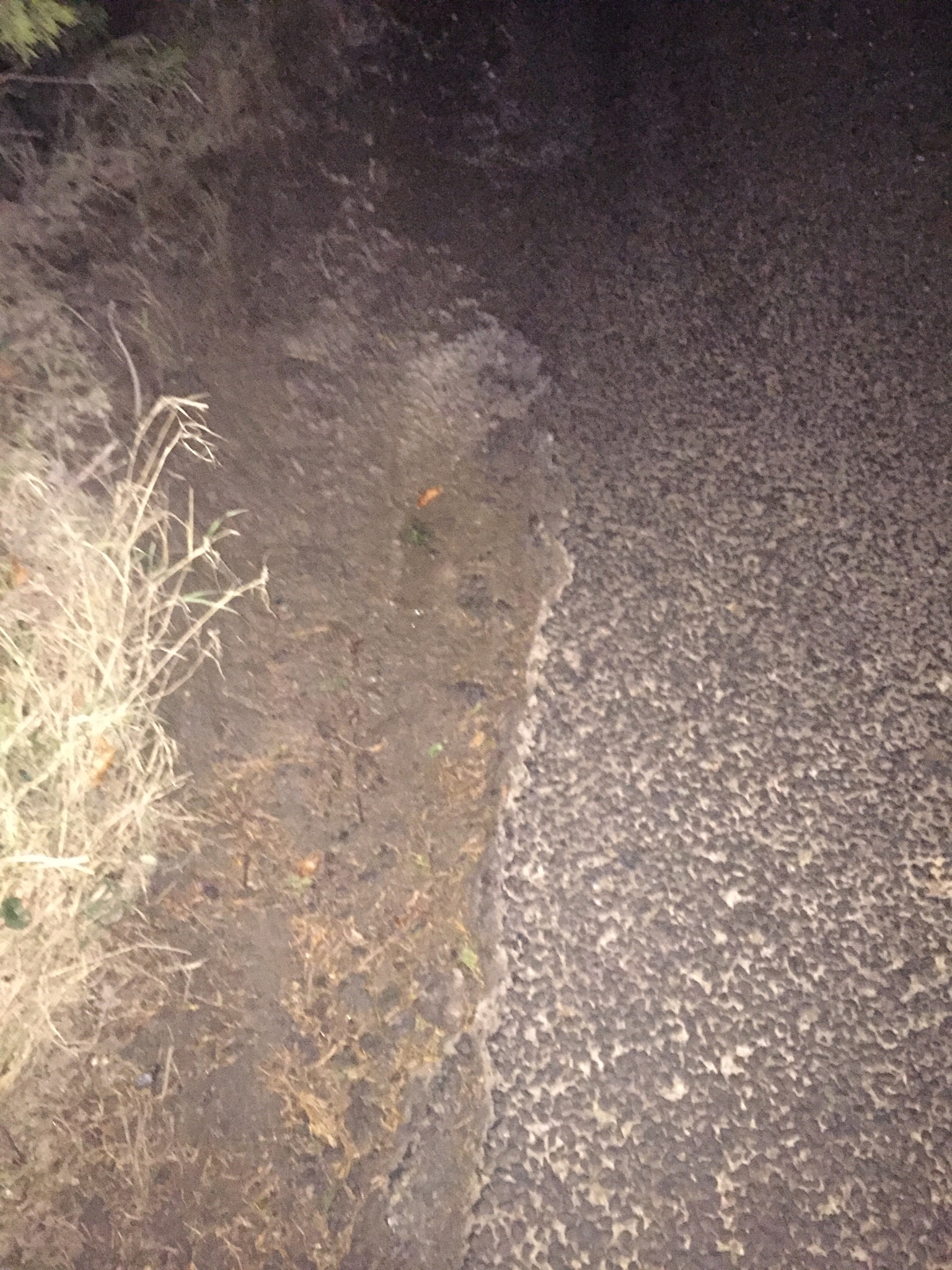Pothole!